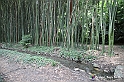 VBS_1613 - Castello di Miradolo - Mostra Oltre il giardino l'Abbecedario di paolo Pejrone